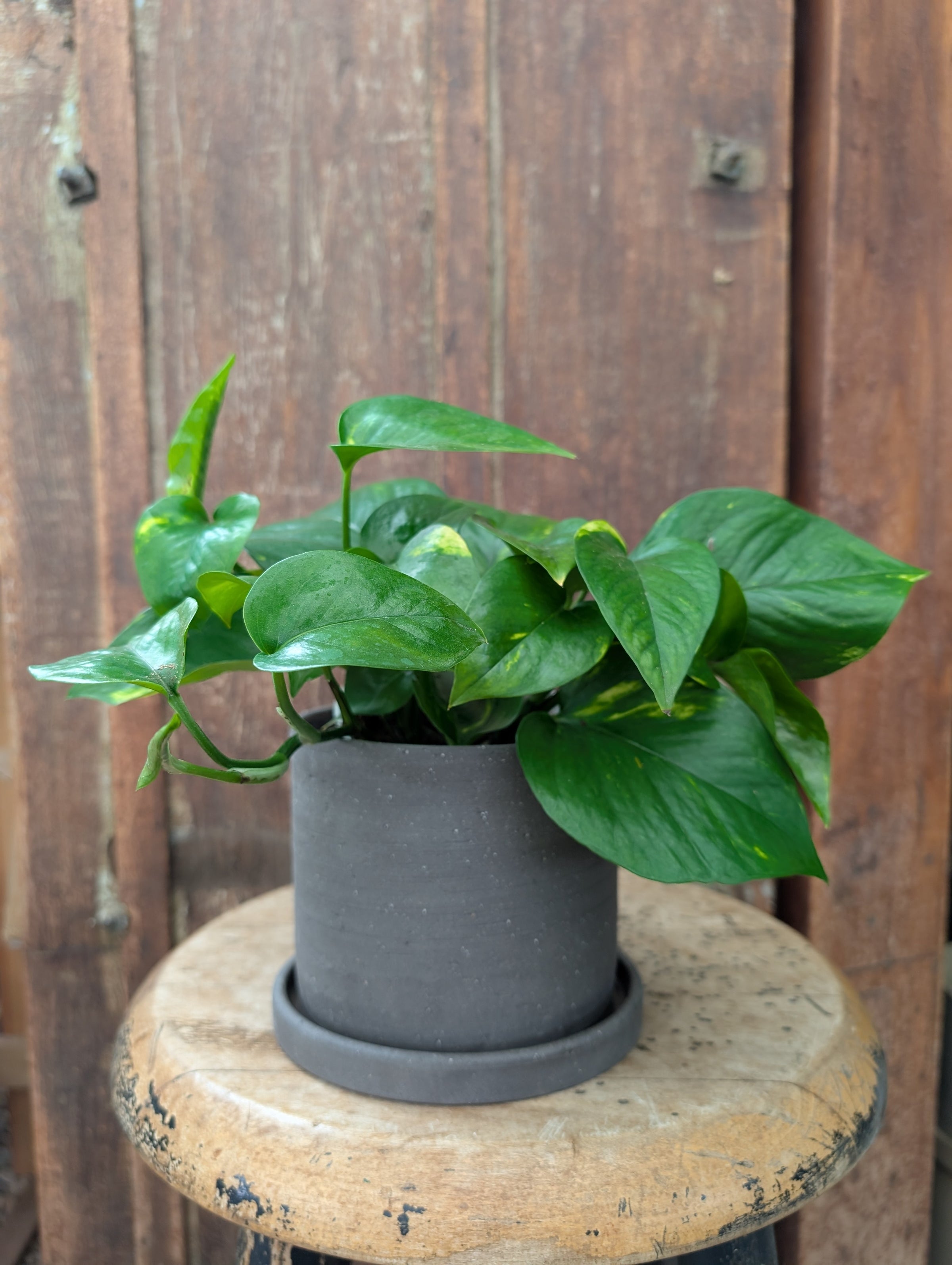 rectangular planter pots Giant Rectangular Planter 48" x 24" x 18" - Raw Steel